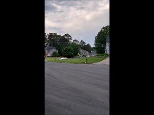 Fly like a real bird! Radio control flying bird toy new in box. 100 pcs available. | NovaCommerce Corporation