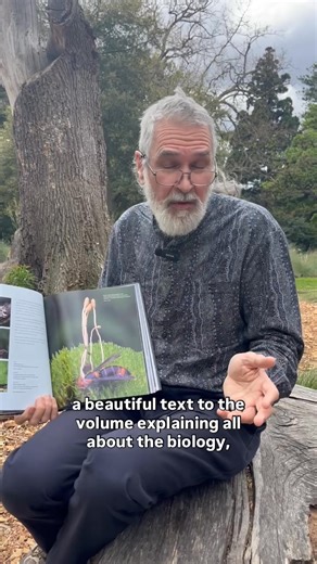 168 reactions | Want to hear more about zombie fungus and...