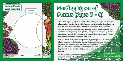 Sorting Types of Plants (Ages 5 - 6)
