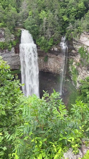 Fall Creek Falls: A Quick Stop at a 256-Foot Wonder