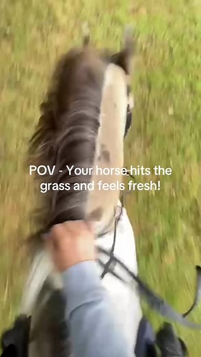 Experience the Thrill of Riding a Bucking Bronco