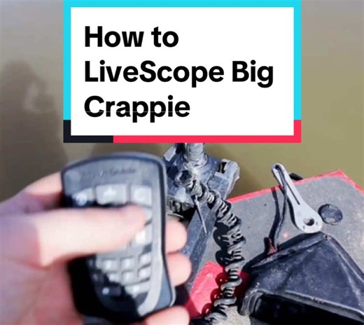 Mastering LiveScope Techniques for Big Crappie Fishing