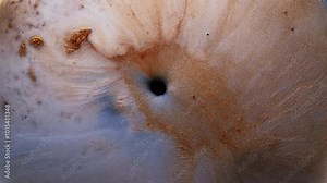 Compression of matter, a concept. Abstract background in macro style, dissolution of paint in water, beautiful texture of shimmer and color, movement of color streams