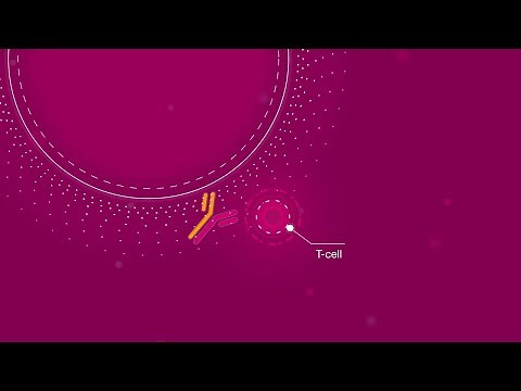 How T-cell engagers work for better cancer detection and treatment