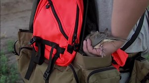 183 reactions · 13 shares | Plan your Arizona dove hunt now! Don't miss out: Buy your hunting license and migratory bird stamp online. | Arizona Game & Fish Department | Facebook