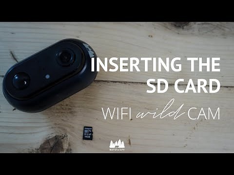 How to insert the SD card in the NatureSpy WiFi Wild Cam
