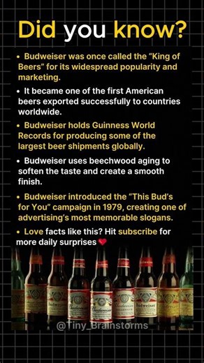 What Made the “King of Beers” Famous Worldwide