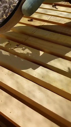 2.3M views · 10K reactions | You can see the glands so clearly! ...