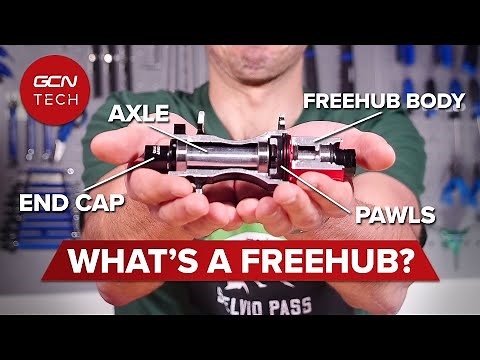 Bicycle Freehub Tear Down | GCN Tech Deep Dive