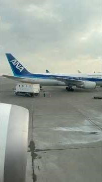 【ANA新千歳空港ブロックイン】ANAのB787-10が夕方の新千歳空港空港に着陸＆目の前をANA機がブロックイン (ANA67,HND-CTS,B787-10,JA982A)