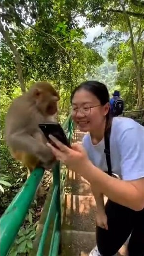 Wild Monkeys Attacking Tourists on Camera! 😱 Crazy Wildlife Encounters | Viral Shorts #monkey #wild