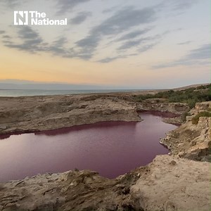 2.1K views · 23 reactions | "We don't know where the colour came from ... there are two competing theories." Jordan’s mysterious red Dead Sea pools distract from environmental disaster. bit.ly/3b5BsAF | The National | Facebook