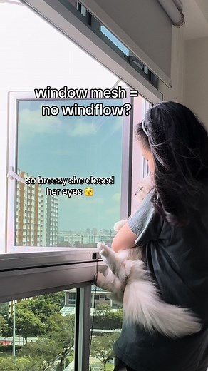 Custom-made Window Mesh for Good Ventilation & Pet Safety
