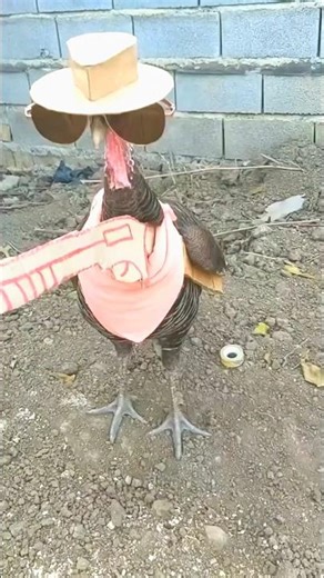 my granny got hit by a bazooka kaboom 💥💦🗣 #acapella #funny #harmony