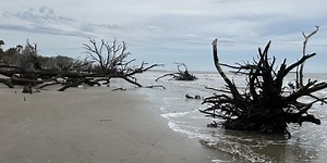 One-Tank Trips: Botany Bay is a different kind of beach trip