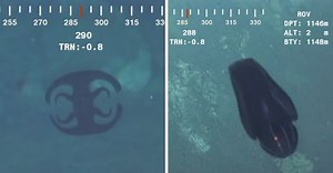 Bizarre-looking creature transforms itself 3,700 feet deep in Indian Ocean, clip goes viral [WATCH]