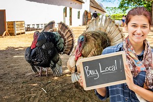 Local Farms For Fresh Thanksgiving Turkeys In Western New York