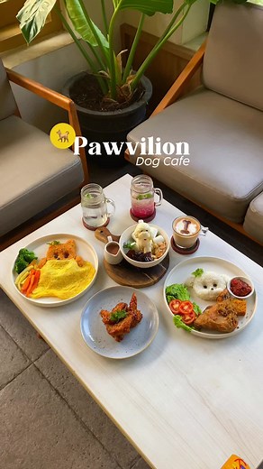Pawvilion Dog Cafe: Cafe Anjing Terunik di Malang