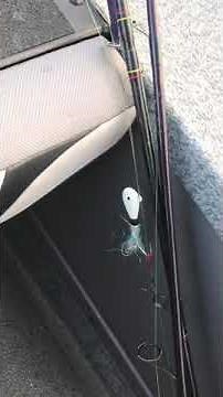 How to jig for walleye during the spring out on Lake Erie.