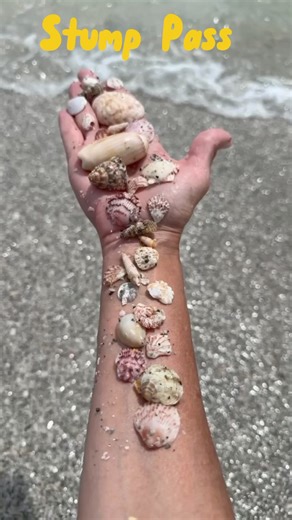 Stump Pass State Park! It was a great day for a great day! Stump Pass Day Drinkers Stump Pass Beach State Park Florida State Parks | Log Home Mom