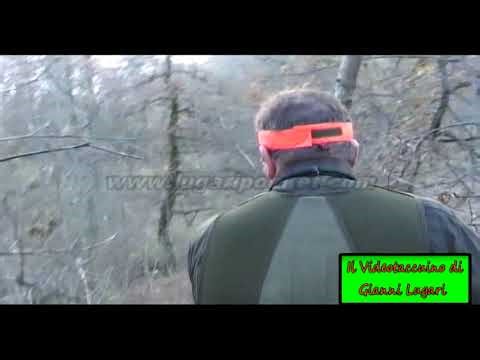 Ep 04 Beccaccia Da Una Parabola Insidiosa Con Bullo E Orange