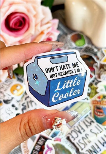 130 funny vinyl waterproof stickers in one pack for your water bottle or hard hat or laptop or ya know whatever #funnystickers #vinylstickers #stickers #tiktokshop