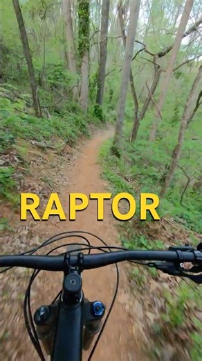 🤌 Who Told Rick Raptor About Vince Vulture MTB Before DarTH Bikes❓