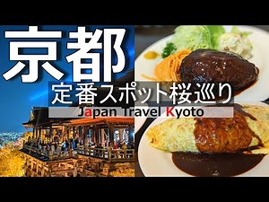 Kyoto Cherry Blossoms Tour: Exploring the Philosopher's Path, Ginkaku-ji, and More