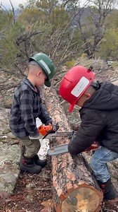 21K reactions · 817 shares | Two of the most adorable little timber fallers in the business #twindad #twins #twinboys #logging #logger #chainsaw #husqvarna #chainsaw #stihl #stihlchainsaw #husqvarna562xp #husqvarnachainsaw #firewood #hazardtree #forestry #arborist | Diamond Z Outdoors | Facebook
