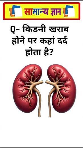 TOP 10 GK questions 💯🔥🥰 GK Question and answer #gk #upsc #ssc #staticgk #gkfacts #gkquestion