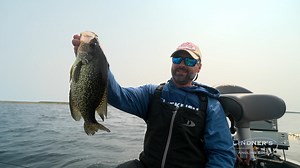 7.5K views · 109 reactions | Balancing your equipment (rod-reel-line-lure) is very important, especially when fishing with SMALLER BAITS for BIG PANFISH! The Daiwa Corporation - USA Ballistic MQ LT 1000 is a perfect fit in that equation! | Lindner's Angling Edge | Facebook