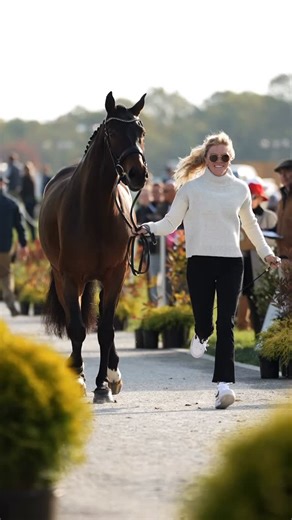 From start to finish, Alyssa Phillips shined in the saddle ✨ A 2nd place finish in the CCI3-L* at the #Maryland5Star — and proof that hard work (and a little Cowboy Magic) go a long way. Video @athletux #CowboyMagic #teamcowboymagic #feelthemagic | Cowboy Magic