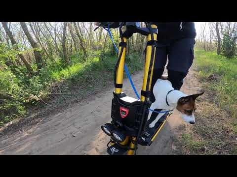 Dorog-Kesztölc erdőben kutyával .. Kaabo Wolf King GTR. 2026.04.27.