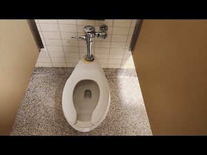 1995-1997 American Standard Madera toilet