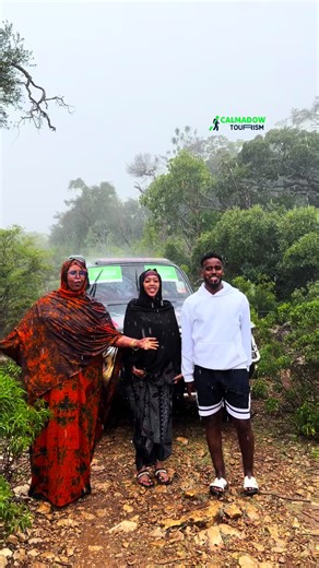 Dalxiiskii ifka calmadow#calmadowtourism #calmadow #naladalxiis #sanaag