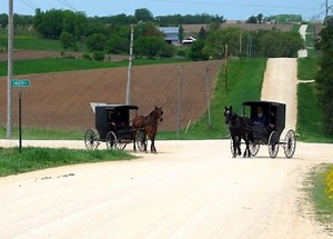 The Amish of Harmony, Minnesota - Amish America
