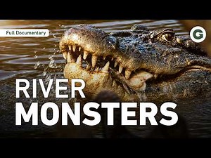 Deep Inside Guyana's Wild Rivers: Searching for the Giant Black Caiman | Full Documentary