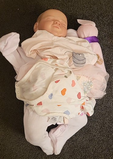 Choosing the Perfect Phone Case for Reborn Dolls