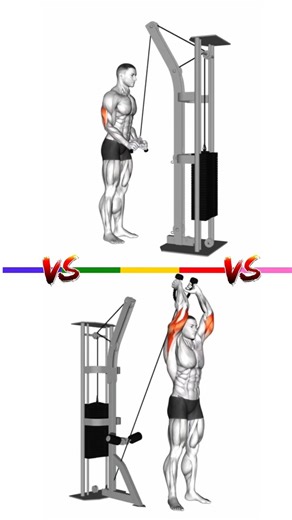 Triceps Pushdown vs Overhead Extension 🔥 Width or Size?