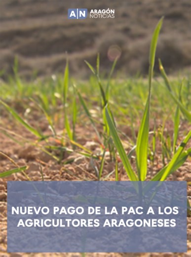 🌿 El Gobierno de Aragón emite un nuevo pago correspondiente a las ayudas de la Política Agraria Común. Son 17 millones de euros para los agricultores aragoneses. | Aragón Noticias