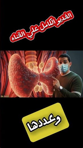 الغدد جار الدرقيه شكلها وعددها؟