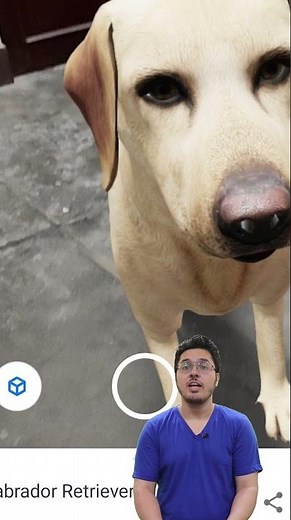 Fun Things to do with Google Search #shorts 🔥