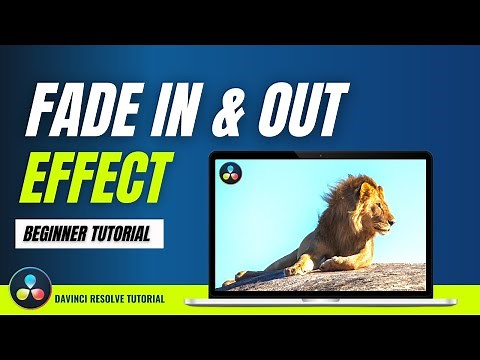 How to Fade In & Out Video | Davinci Resolve 17 Tutorial (2025)