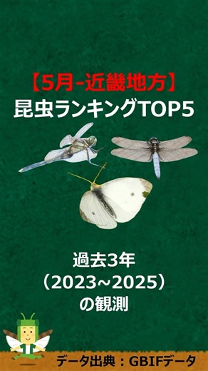 【5月-近畿地方】観測できる昆虫ランキングTOP5【2023-2025】#shorts