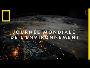 Aujourd'hui, c'est la Journée mondiale de l'environnement