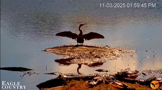 1.5K views · 60 reactions | 囹 Lazy Crazy Days at the River  Down at...