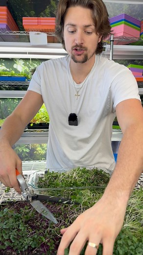 7.8K views · 222 reactions | Sidehustle: People Pay Money for Healthy Food. Start Making Write-Off’s‍ | Tyler Blohm | Facebook