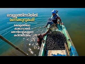 ഇങ്ങനെയും മനുഷ്യർ ഈ കേരളത്തിൽ ജീവിക്കുന്നുണ്ട്! The harsh life of cockle collectors in Alappuzha