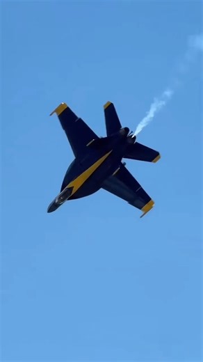 US Blue Angels Perform Stunning Dirty Roll | Aerobatics Display #youtubeshorts #indian #shorts #vlog