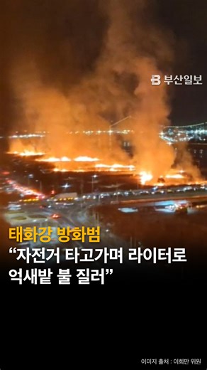 부산일보 (제보 환영) on Instagram: "울산 태화강변 물억새 군락지에 동시다발적으로 불을 지른 50대 방화 피의자가 경찰 조사에서 라이터를 사용한 범행 사실을 모두 시인했다. 울산 북부경찰서는 방화 혐의로 긴급체포된 A 씨가 자전거로 이동하며 라이터를 이용해 억새밭 곳곳에 불을 냈다는 진술을 확보했다고 26일 밝혔다. A 씨의 범행 장면은 현장 CCTV에 담긴 것으로 확인됐다. 다만 피의자가 범행 동기에 대해 진술을 번복하는 등 일관성 없는 태도를 보이고 있어 경찰이 보강 수사를 진행 중이다. #울산 #태화강 #방화 #억새 📰자세한 내용은 아래 링크에서! https://www.busan.com/view/busan/view.php?code=2026012613173293762"